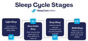 Sleep Cycle Stages