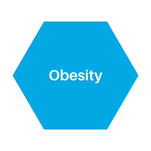 obesity icon