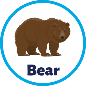 bear icon